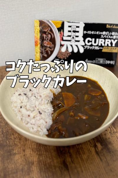 コクたっぷりブラックカレー