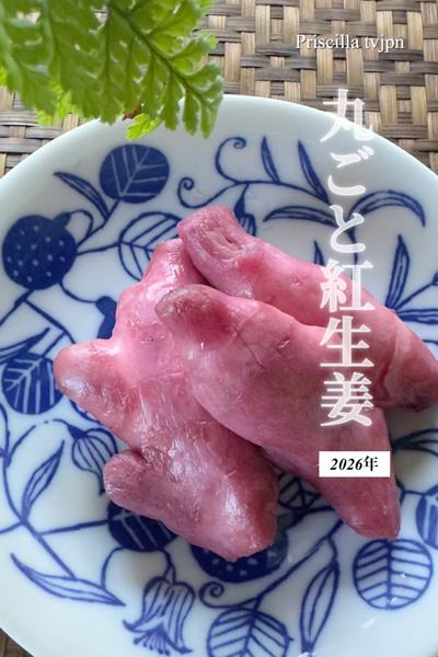 🤣絶対美味しい丸ごと紅生姜