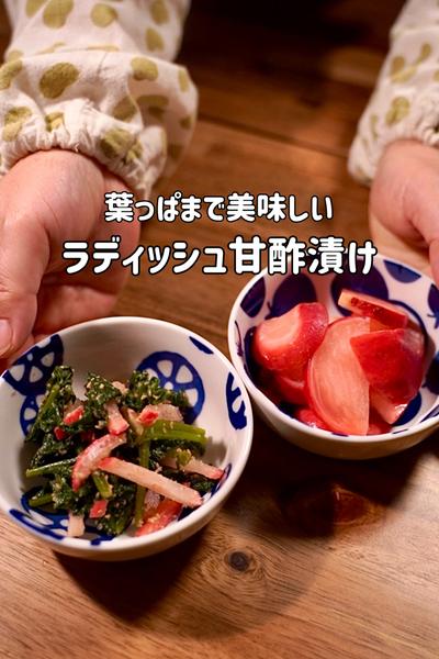まるごと美味しい二十日大根の甘酢漬け／葉は胡麻和え
