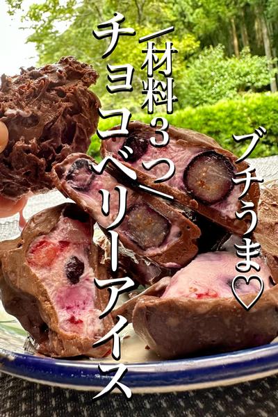 \ブチうま/海外でバズってる【チョコベリーアイス】