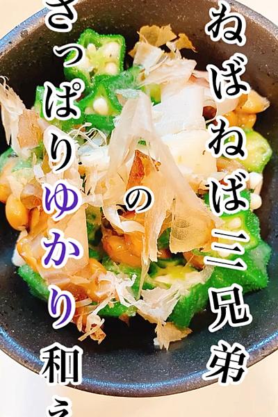 ねばねば三兄弟のさっぱりゆかり和え