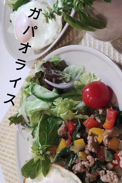 黄金比率でガパオライス