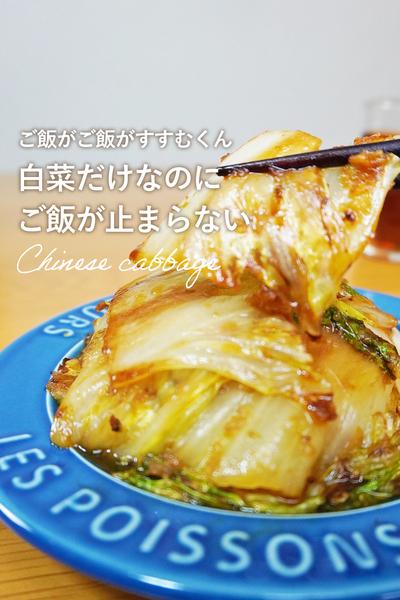 【これ知っといた方が良い】白菜の生姜焼き