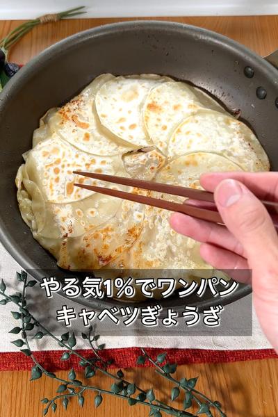 【やる気1％でワンパンキャベツぎょうざ】