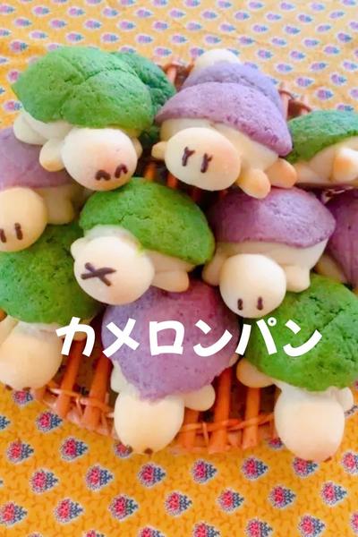 カメロンパン🐢