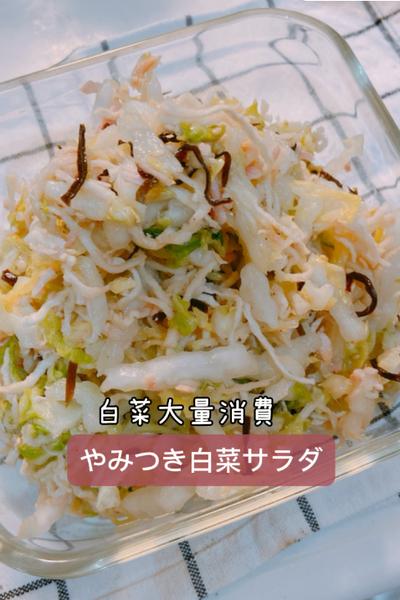 白菜大量消費！やみつき白菜サラダ