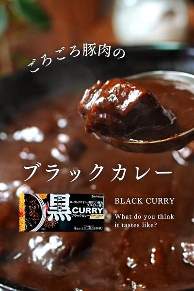 ごろごろ豚肉のブラックカレー