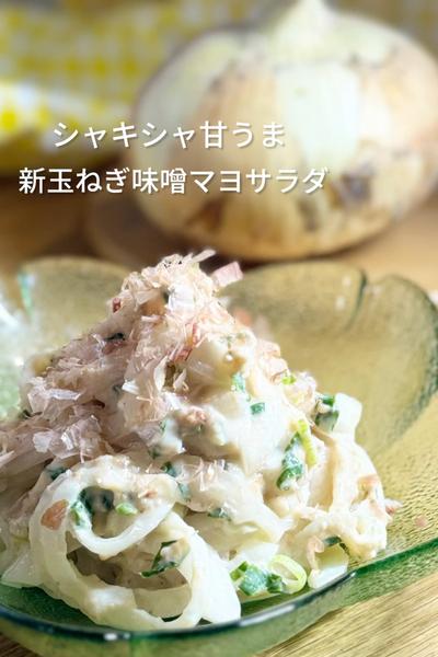 シャキシャキ甘うま味噌マヨ新玉ねぎサラダ