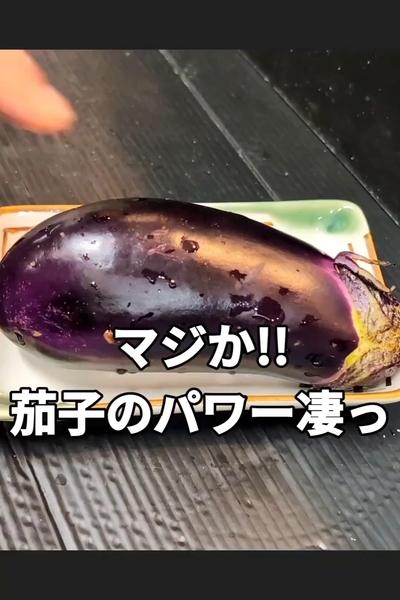 茄子のつくね挟み焼き