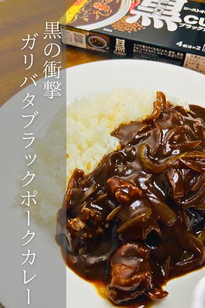 ガリバタ最強！ガリバタブラックポークカレー！