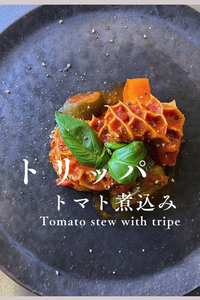 押すだけ！トリッパのトマト煮込み