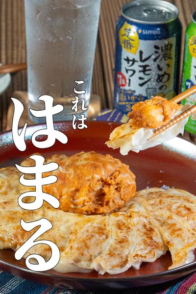 話題のUFO餃子を作って濃いぃぃぃ！晩酌やってみた