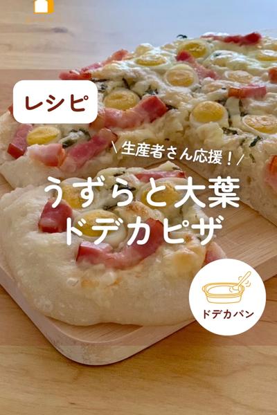生産者さん応援！うずらと大葉のピザ🥚🍕