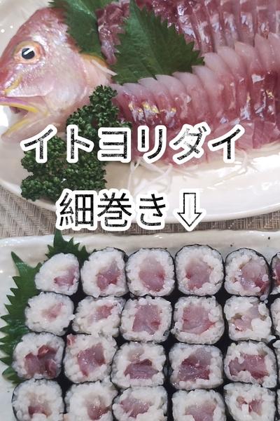 イトヨリダイの細巻