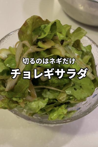 【初心者向け】チョレギサラダ