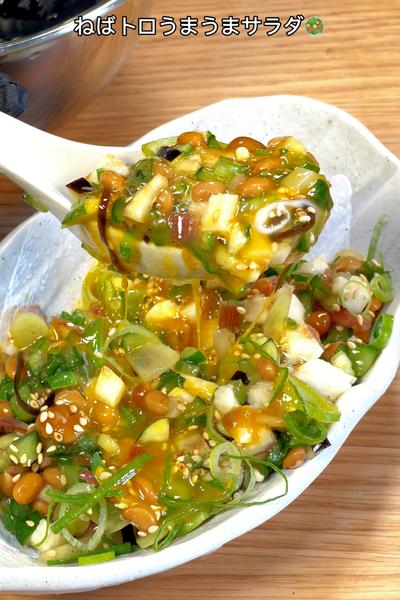 色々な食感と旨み🤤ねばトロうまうまサラダ🥗