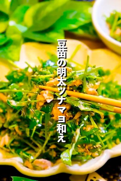 【再利用して育てた♻️】豆苗の明太ツナマヨ和え