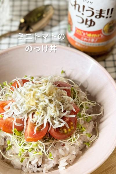 ミニトマトののっけ丼