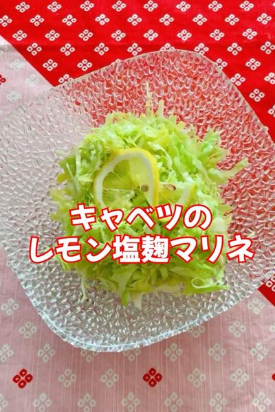 キャベツぱくぱく！キャベツのレモン塩麹マリネ
