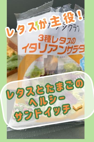 レタスが主役のサンドイッチ🥪