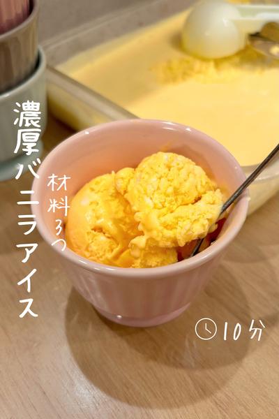 材料3つ『濃厚バニラアイス』