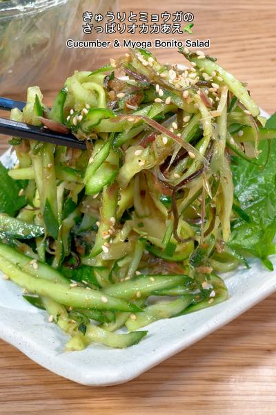 夏が一番美味しい！薬味たっぷりサラダ2品
