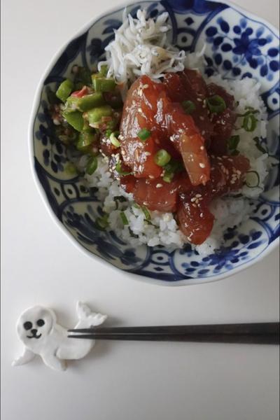 やみつきお手軽びんちょうまぐろ丼🐟🦭