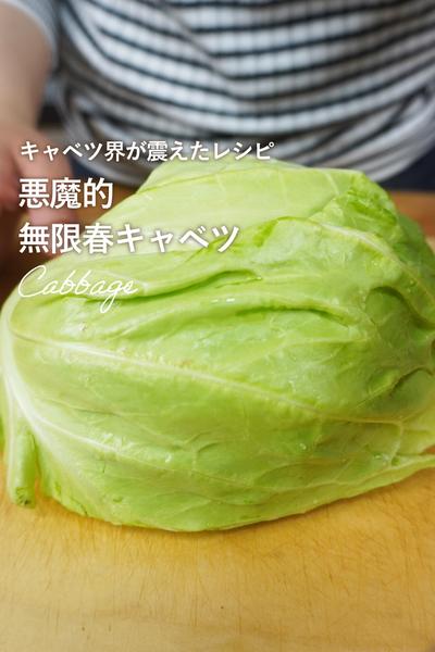 簡単！無限春キャベツの和風マリネ