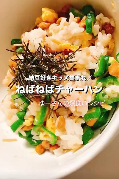 ねばねばチャーハン