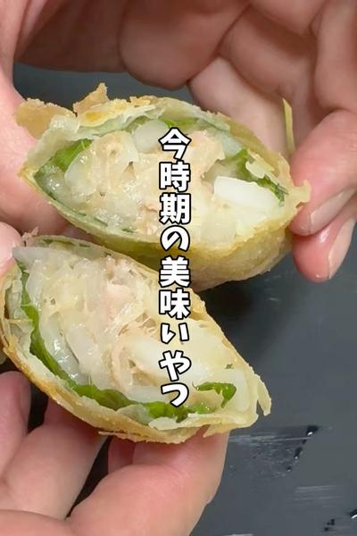 【絶対にハマるやつ！】