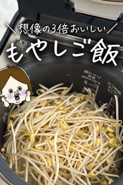 節約食材【もやし】で炊き込みご飯