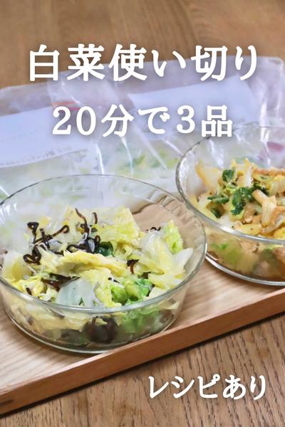 白菜使い切り！20分で作る簡単作り置き