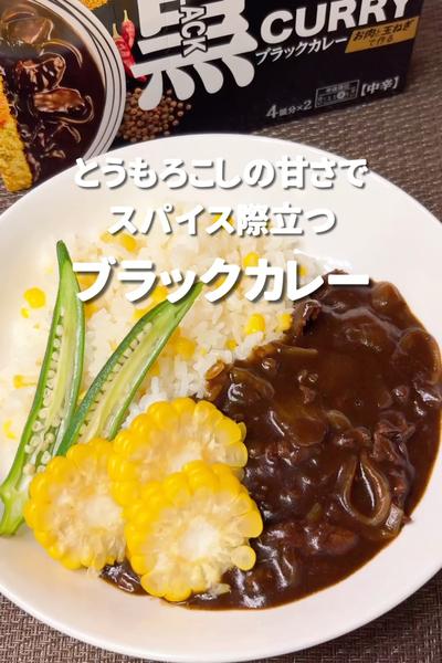 スパイス香るブラックカレー