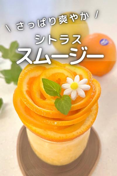 \ さっぱり爽やか / シトラススムージー