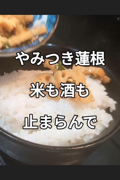 神食感の無限蓮根漬けレシピ