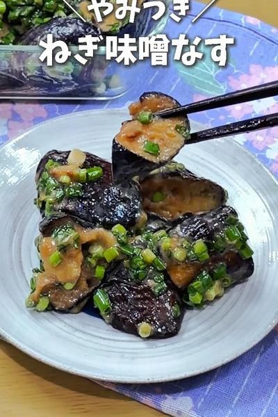 やみつき🍆ネギ味噌なす