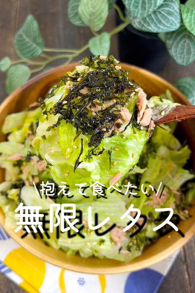 抱えて食べたい♪無限レタス