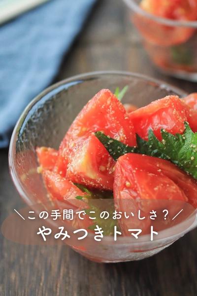 ＼かかえて食べたい！／やみつきトマト