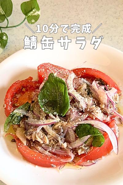 鯖缶のサラダ