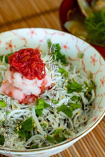 カルシウムたっぷり！春の梅しらす丼！