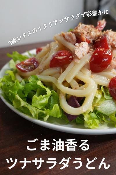 簡単サラダうどん！
