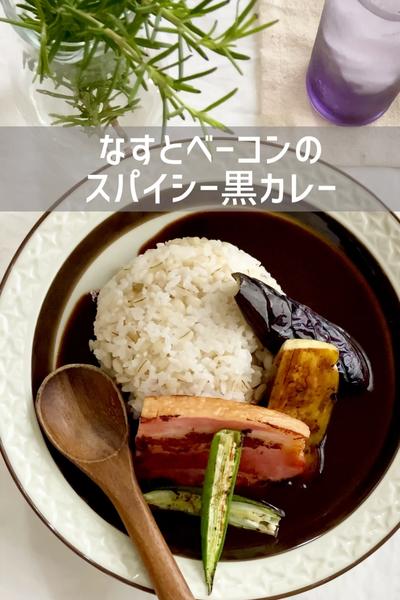 夏に食べたい⛱大人のブラックカレー