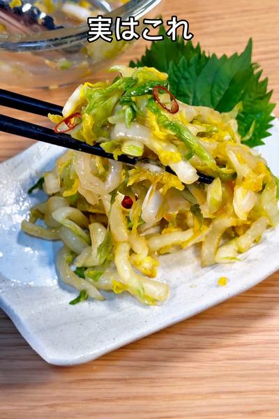 驚きの28カロリー🤩病みつき白菜の浅漬け🥬