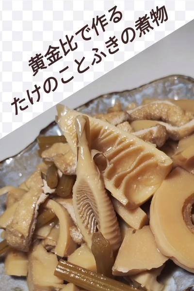 黄金比で作るたけのことふきの煮物