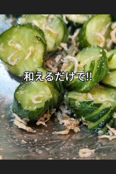 きゅうりとちりめんじゃこの山葵和え