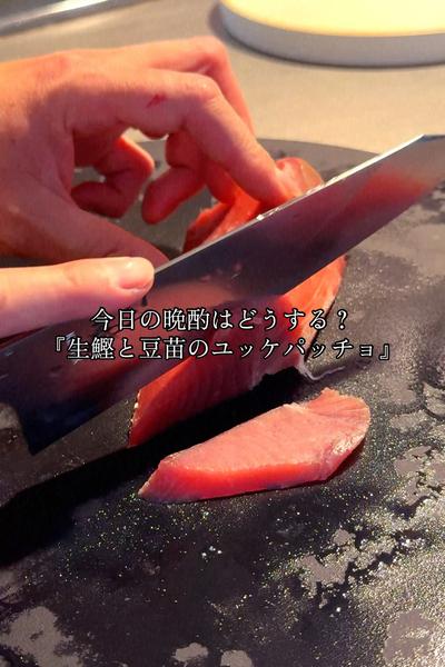 鰹と豆苗のユッケパッチョ