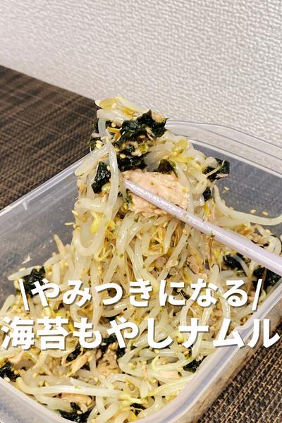 やみつきになる！海苔もやしナムル