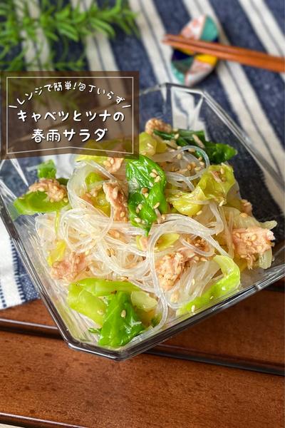 ＼レンジで簡単／
『キャベツとツナの春雨サラダ』