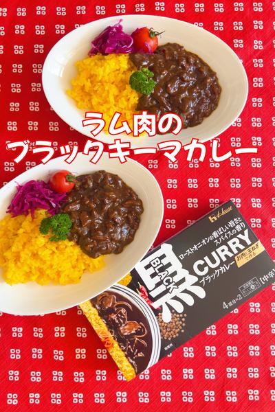 ラム肉のブラックキーマカレー