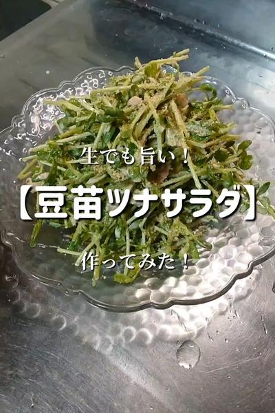 【豆苗は生が旨い！】